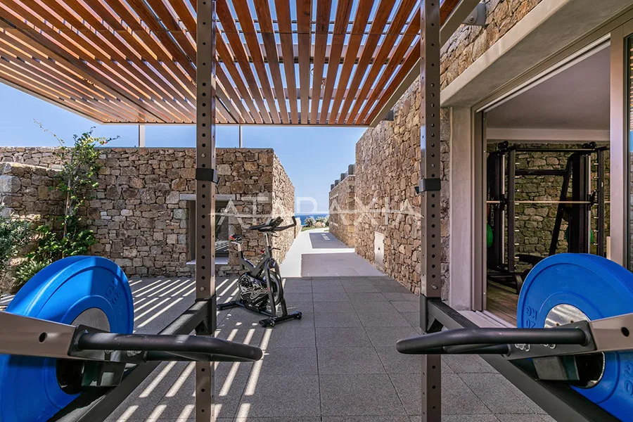 the king of villas rental mykonos