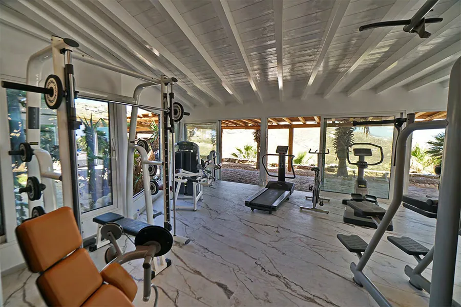 the king of villas rental mykonos